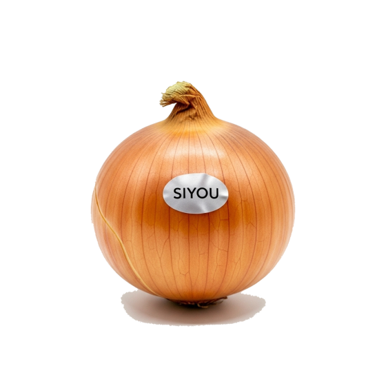 Onion